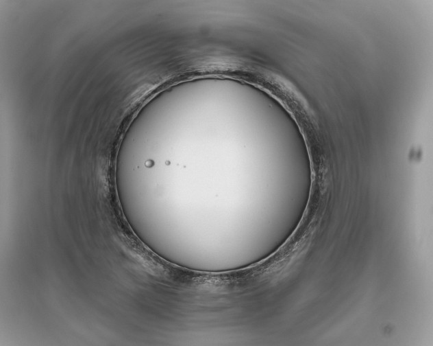 X0000096141217200802011203