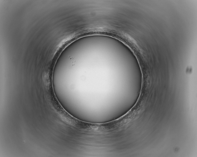 X0000096141218200802011203