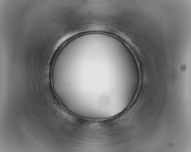X0000096141222200802011203