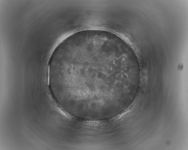 X0000096141223200802011203