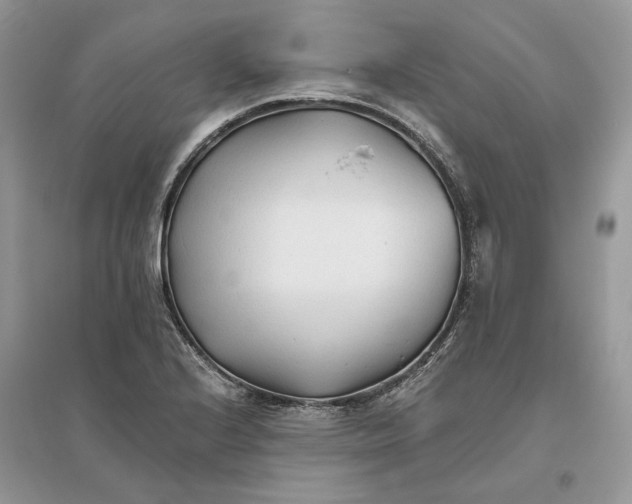 X0000096141224200802011203