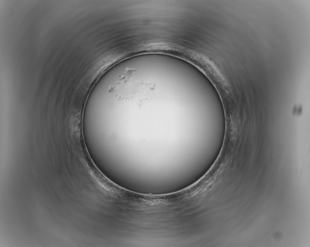 X0000096141225200802011203