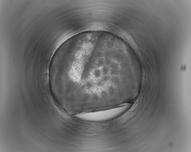 X0000096141226200802011203