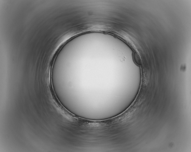 X0000096141227200802011203