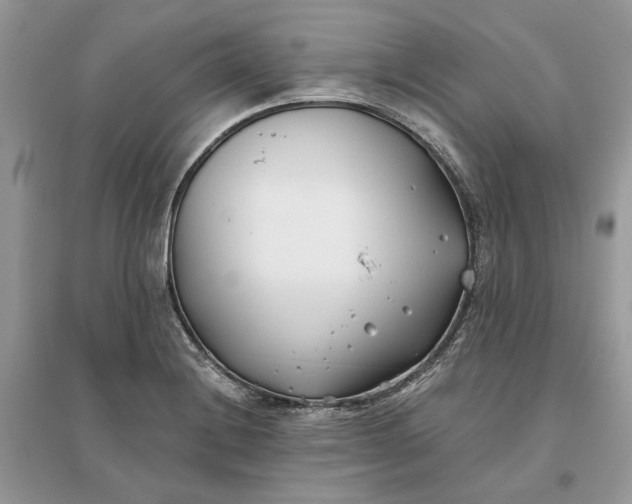 X0000096141228200802011203