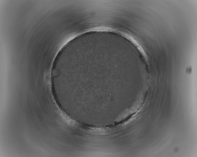 X0000096141229200802011203