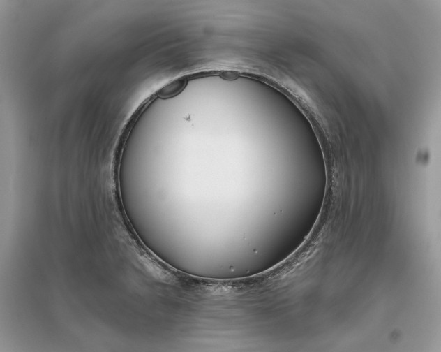 X0000096141230200802011203