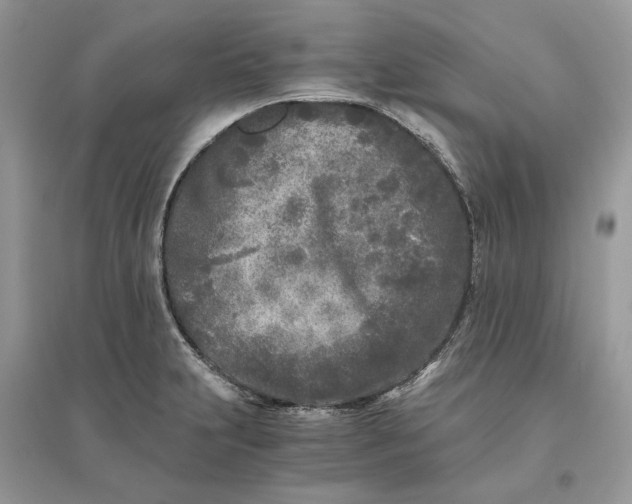 X0000096141231200802011203