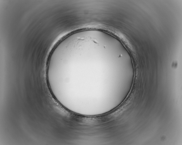 X0000096141232200802011203