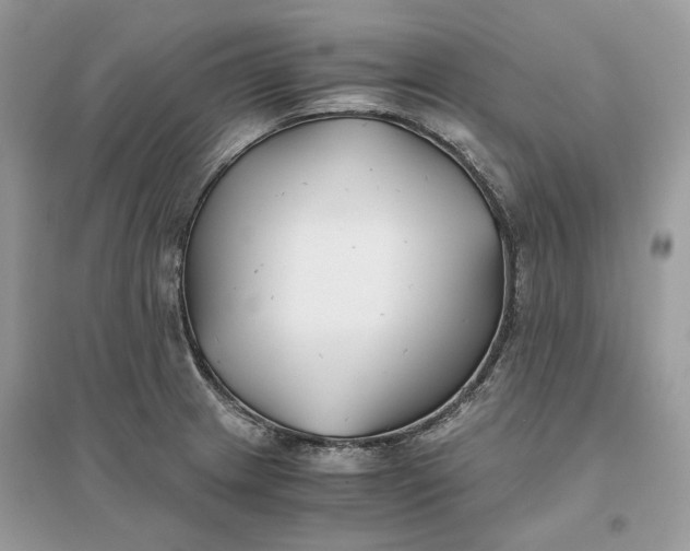 X0000096141233200802011203