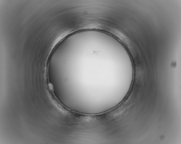 X0000096141234200802011203