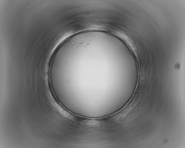 X0000096141235200802011203