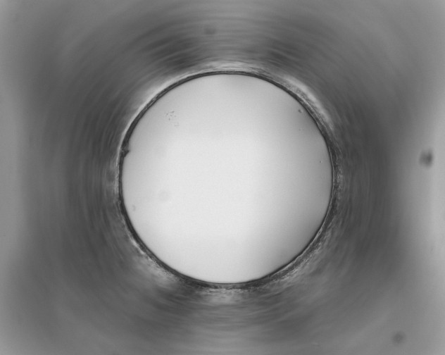 X0000096141236200802011203