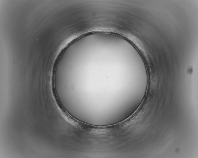 X0000096141237200802011203