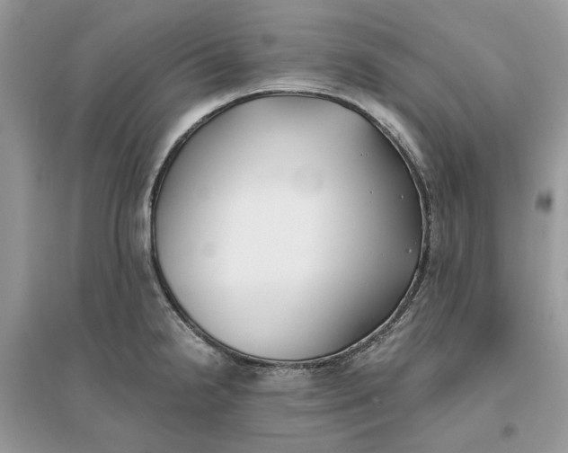 X0000096141238200802011203