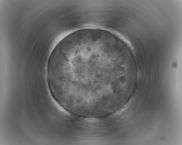 X0000096141239200802011203