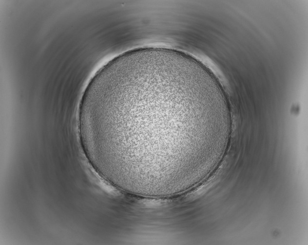 X0000096141240200802011203