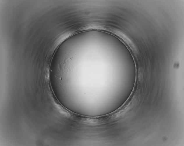 X0000096141241200802011203
