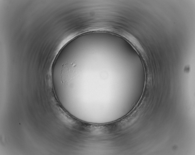X0000096141242200802011203