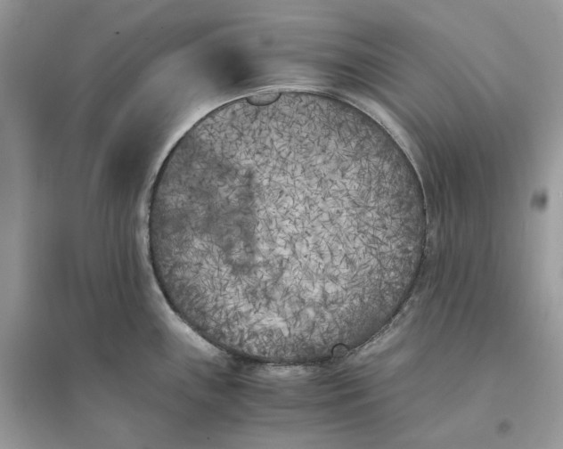 X0000096141243200802011203