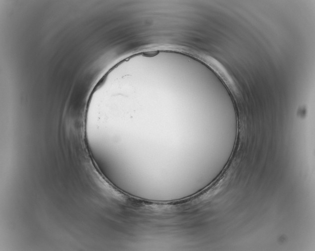 X0000096141244200802011203