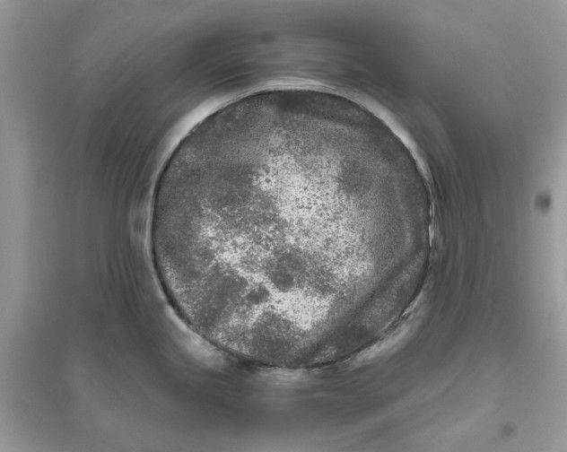 X0000096141245200802011203