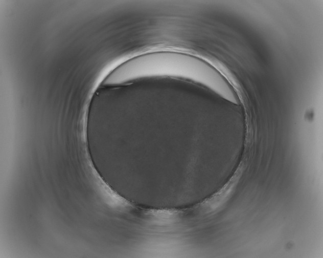 X0000096141246200802011203