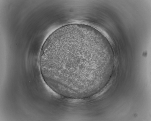 X0000096141247200802011203