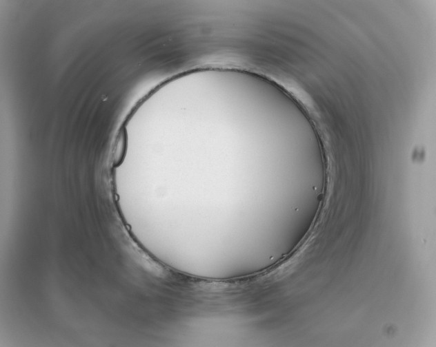 X0000096141248200802011203