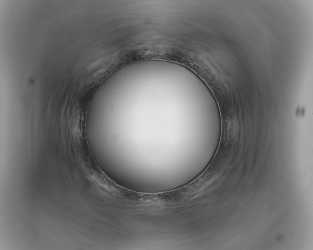 X0000096141250200802011203