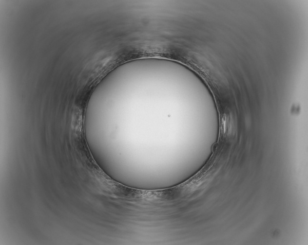 X0000096141251200802011203
