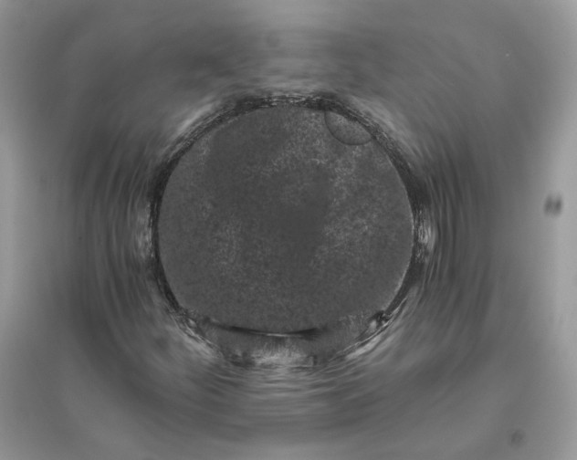 X0000096141252200802011203