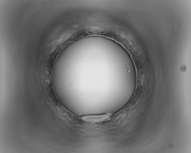 X0000096141253200802011203