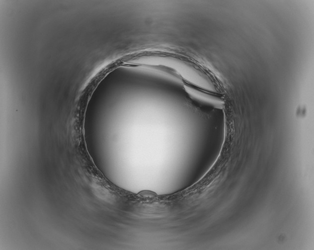 X0000096141256200802011203