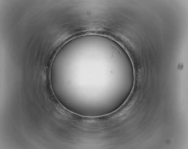 X0000096141257200802011203