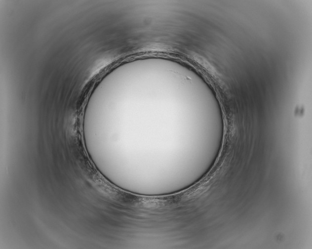 X0000096141258200802011203