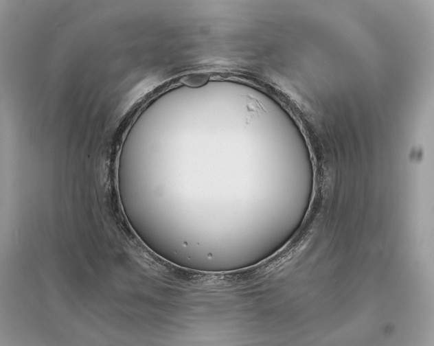 X0000096141259200802011203