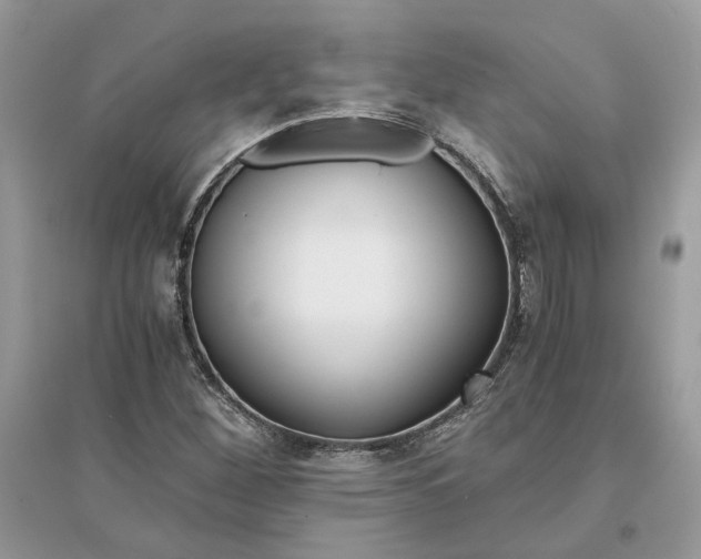 X0000096141260200802011203