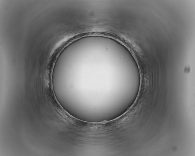 X0000096141262200802011203