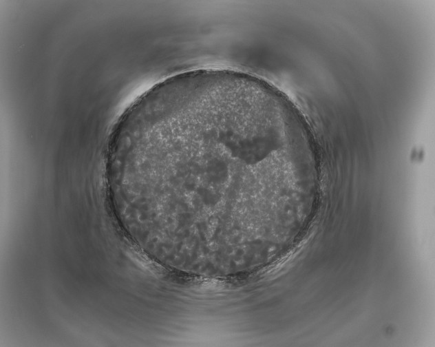 X0000096141263200802011203