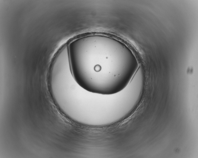 X0000096141264200802011203