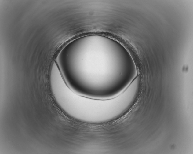 X0000096141265200802011203
