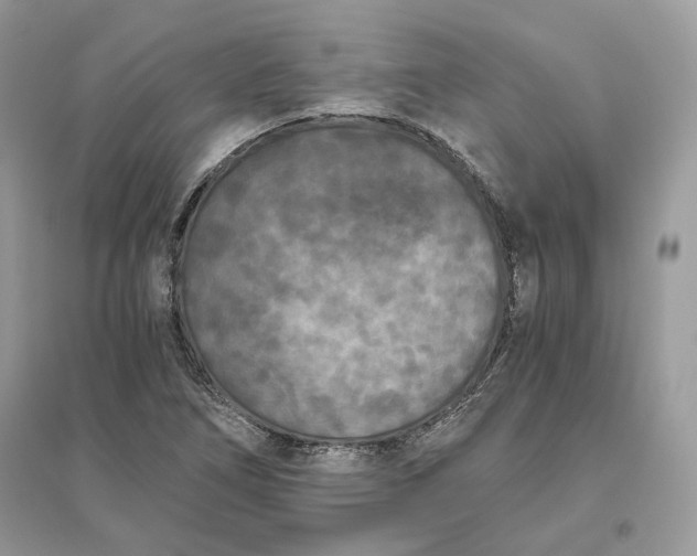 X0000096141266200802011203