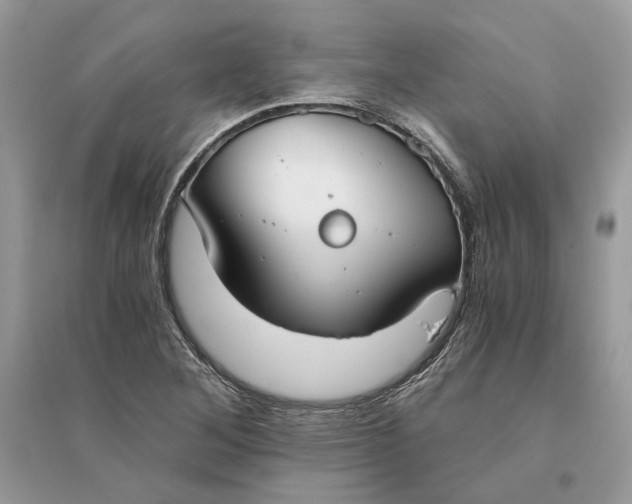 X0000096141268200802011203