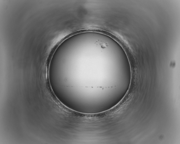 X0000096141269200802011202