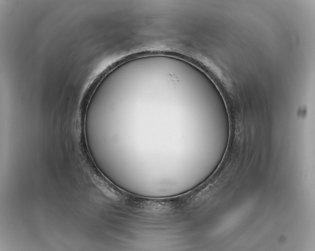 X0000096141270200802011202