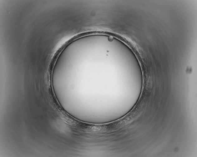 X0000096141271200802011202