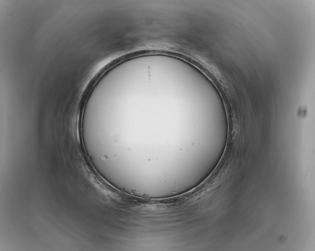 X0000096141272200802011202