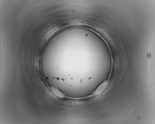X0000096141273200802011202