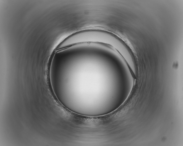 X0000096141277200802011202